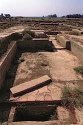 The Royal Tomb